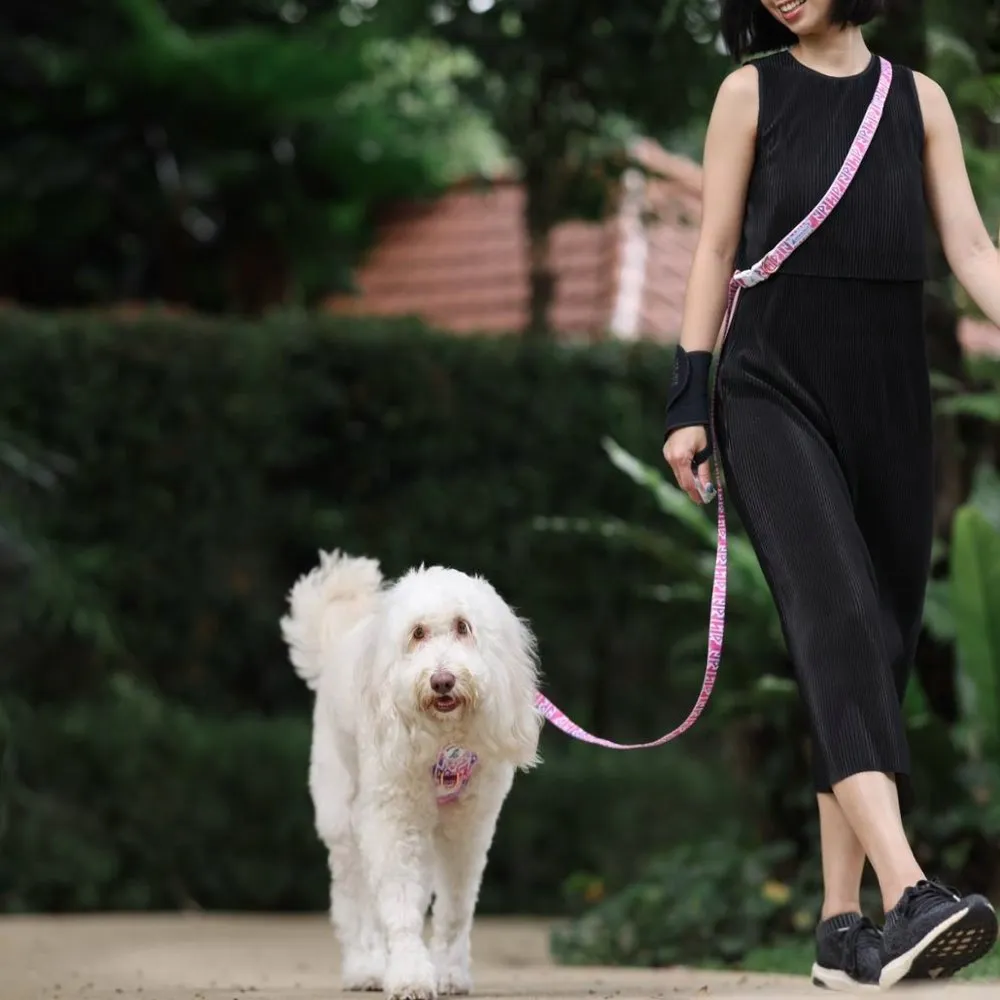 Boss & Olly Convertible Multi-Functional Dog Leash (Autumn Leaves)