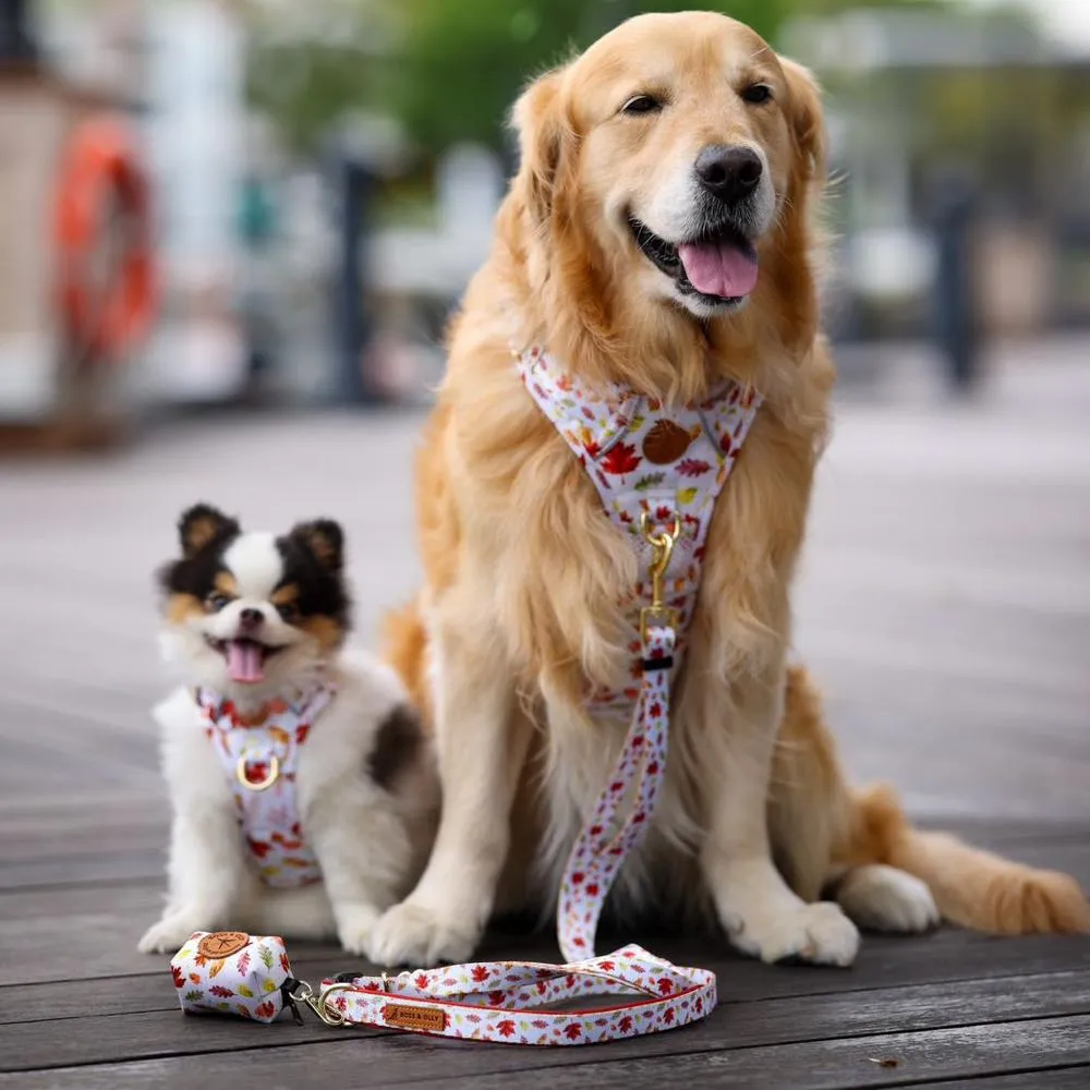 Boss & Olly Convertible Multi-Functional Dog Leash (Autumn Leaves)