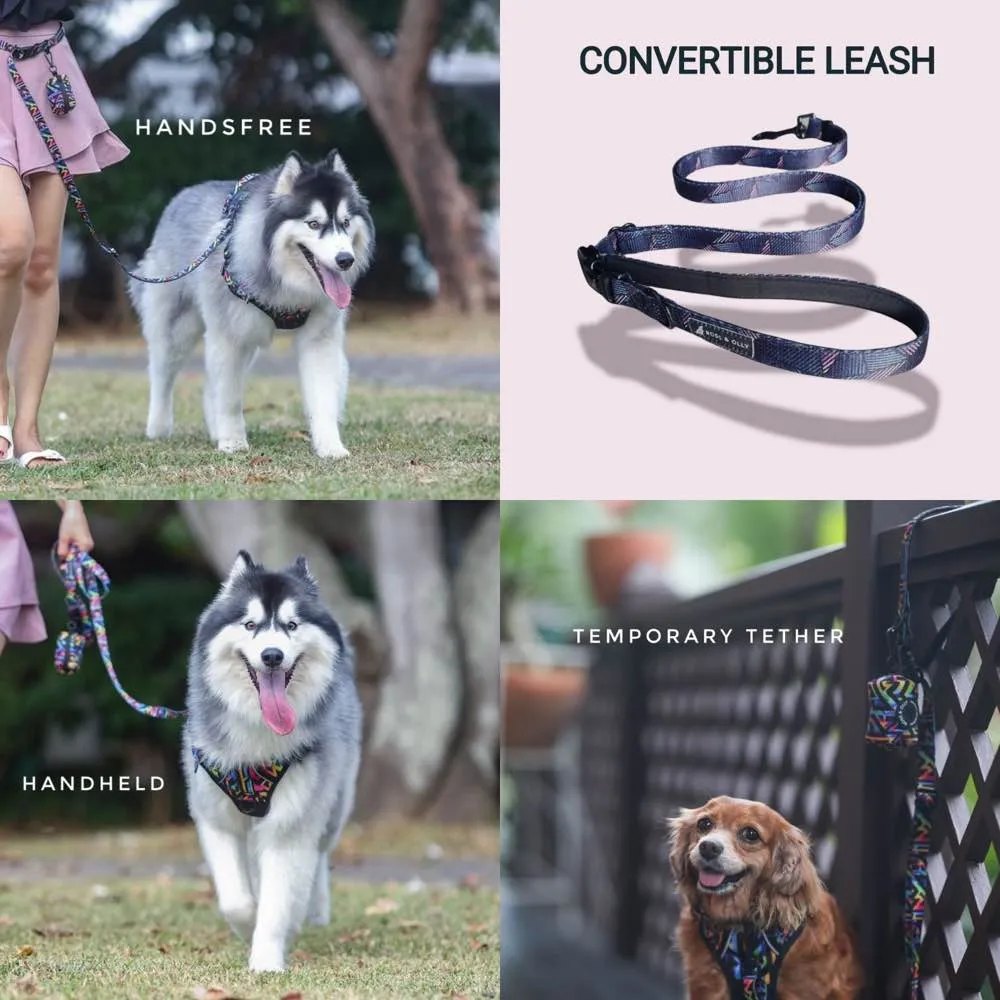 Boss & Olly Convertible Multi-Functional Dog Leash (Autumn Leaves)