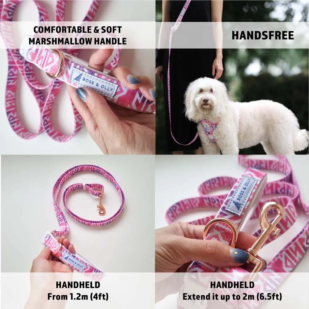 Boss & Olly Convertible Multi-Functional Dog Leash (Autumn Leaves)