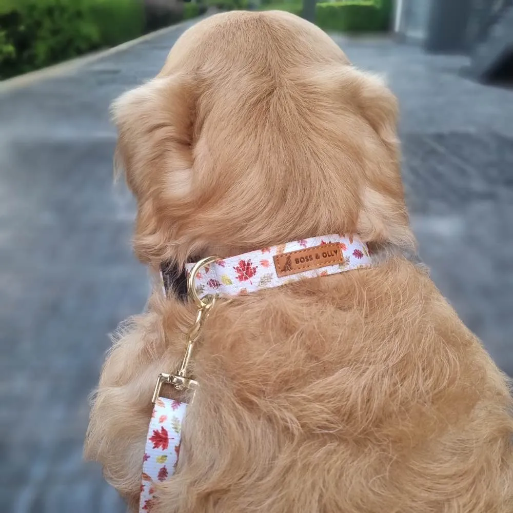 Boss & Olly Convertible Multi-Functional Dog Leash (Autumn Leaves)