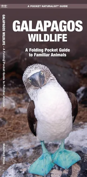 Galapagos Wildlife: A Folding Pocket Guide to Familiar Animals (Nature Observation International) Pamphlet – January 23, 2018