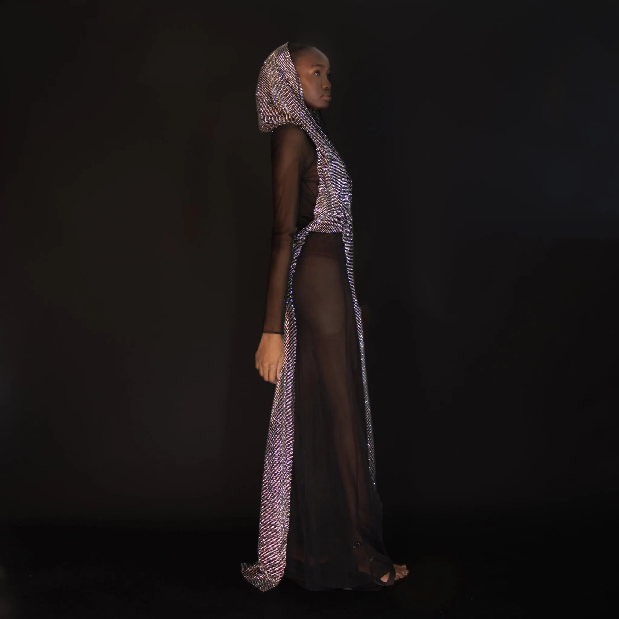Jones Crystal Hooded Dress